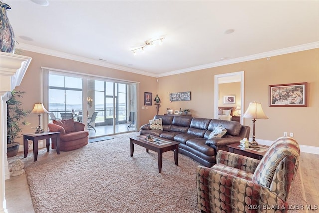 living room with ornamental molding and light hardwood / wood-style flooring