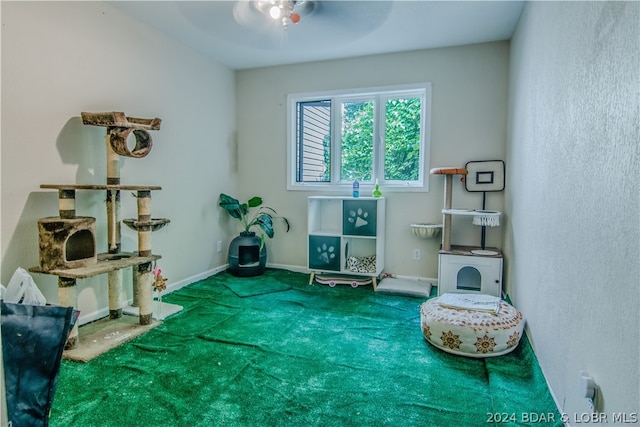 misc room with carpet flooring and ceiling fan