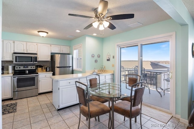 kitchen featuring tasteful backsplash, stainless steel appliances, ceiling fan, and a healthy amount of sunlight