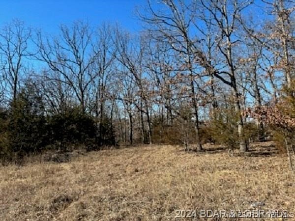 Listing photo 2 for TBD Buckingham Dr, Camdenton MO 65020