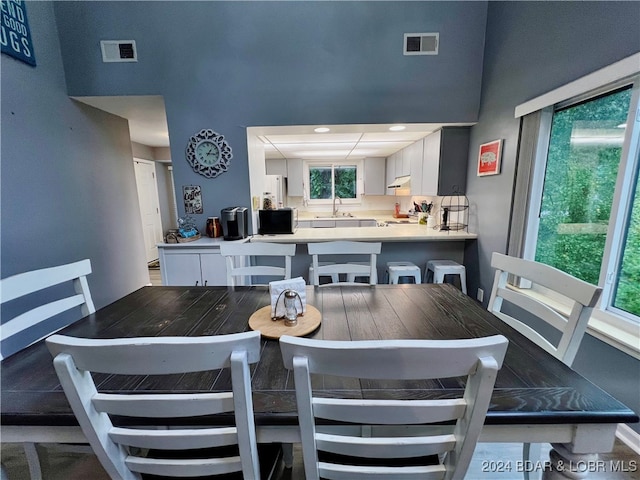 dining space with sink