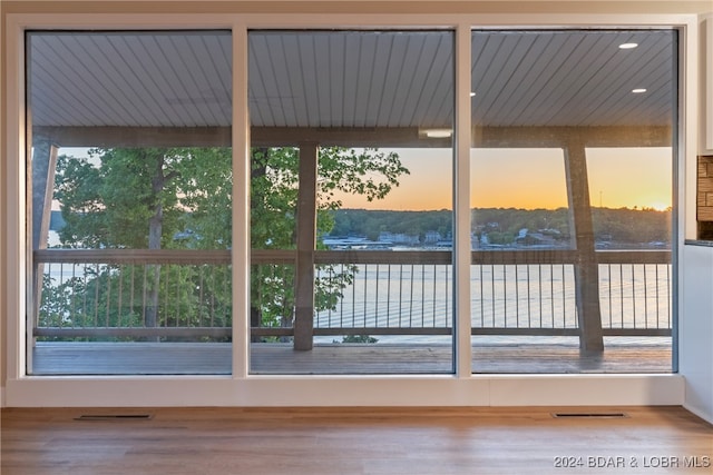 doorway with a water view, hardwood / wood-style flooring, and a healthy amount of sunlight