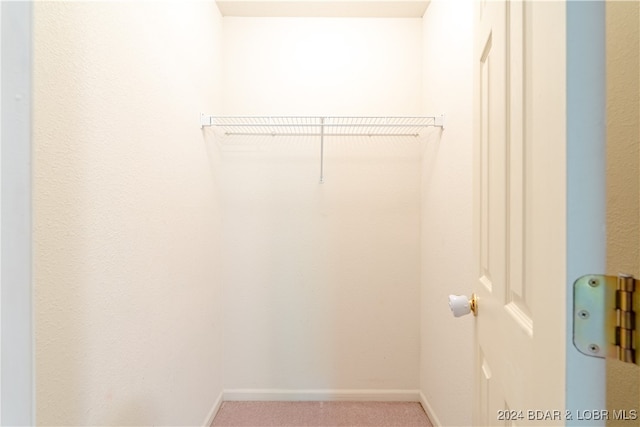 spacious closet featuring carpet