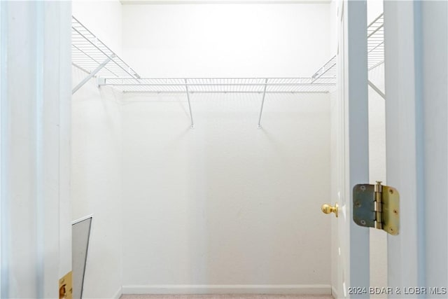 view of spacious closet