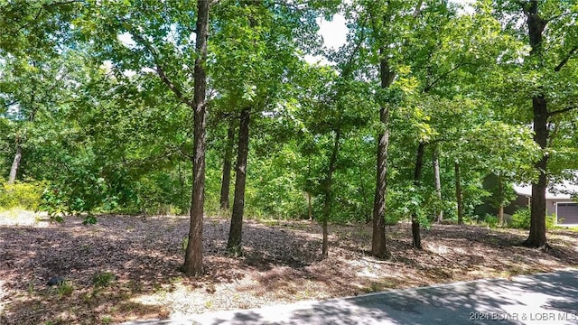LOTS10 Fawn Ct, Osage Beach, MO 65065
