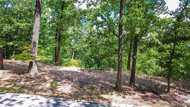 LOTS10 Fawn Ct, Osage Beach, MO 65065