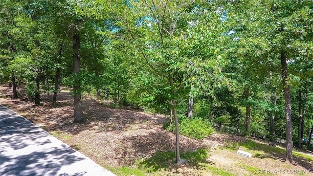 LOTS10 Fawn Ct, Osage Beach, MO 65065
