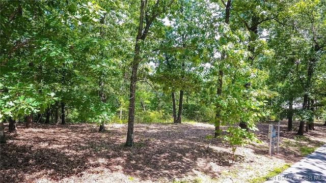 LOTS10 Fawn Ct, Osage Beach, MO 65065