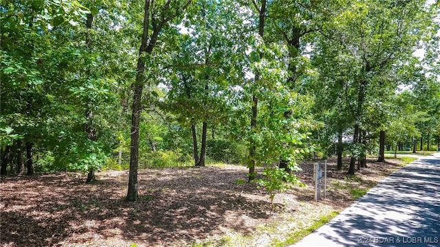 LOTS10 Fawn Ct, Osage Beach, MO 65065