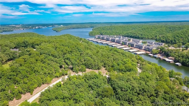 LOTS10 Fawn Ct, Osage Beach, MO 65065