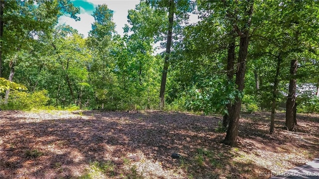 LOTS10 Fawn Ct, Osage Beach, MO 65065