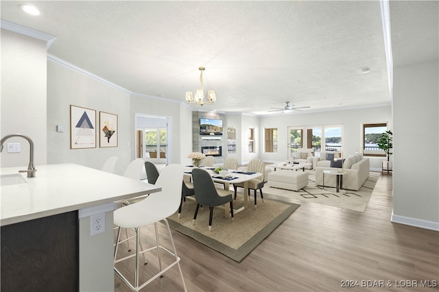 dining room featuring a wealth of natural light, light hardwood / wood-style flooring, and a large fireplace