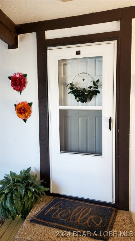 view of doorway to property