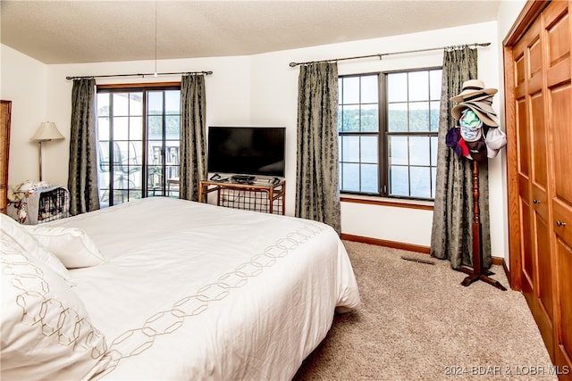 bedroom with a textured ceiling, light colored carpet, a closet, and multiple windows