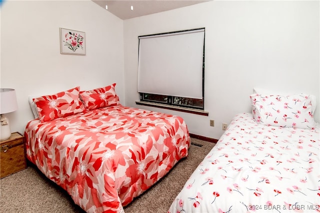 carpeted bedroom with a closet