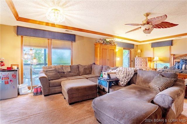 living room with a textured ceiling, light carpet, and a raised ceiling