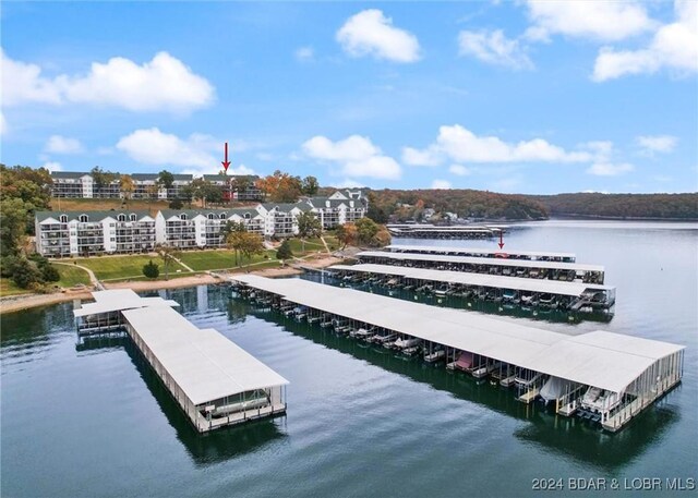 dock area with a water view