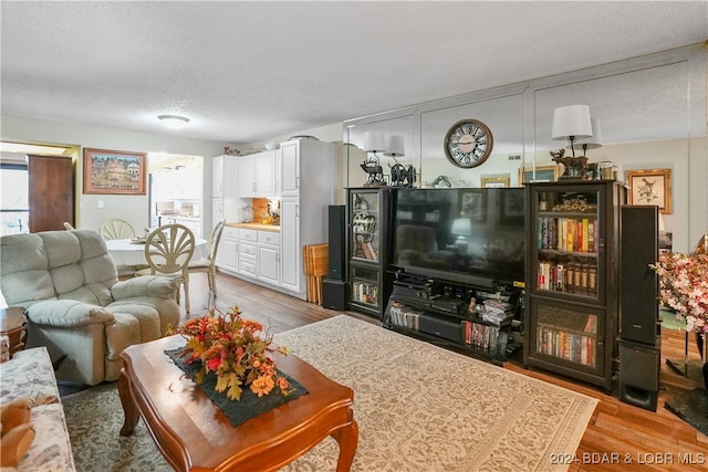 living room with light hardwood / wood-style floors and a textured ceiling