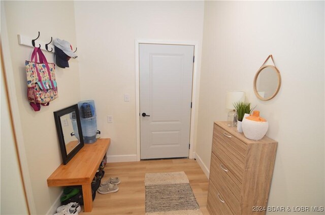 doorway to outside featuring light wood-type flooring