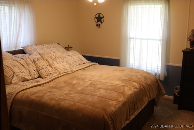 carpeted bedroom with multiple windows