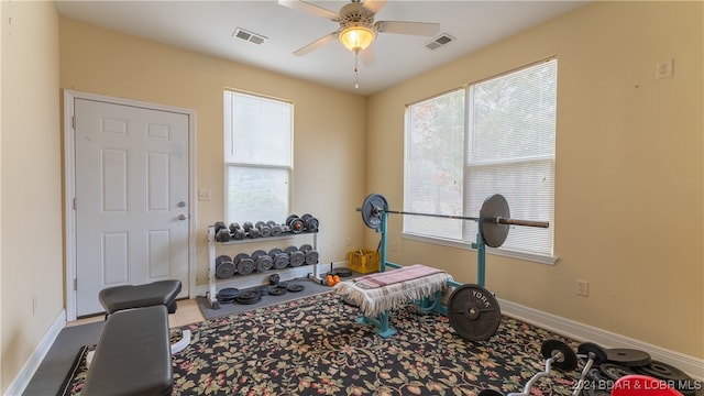 exercise area featuring ceiling fan and a wealth of natural light