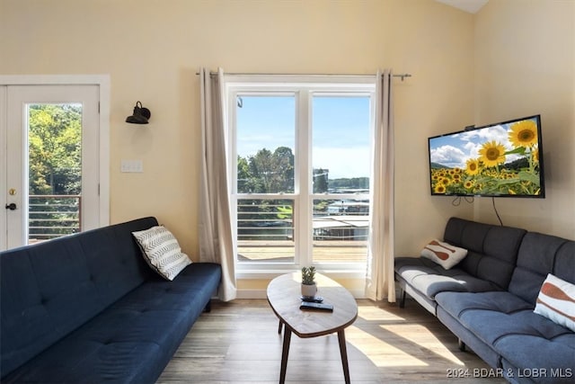 living room featuring light wood-type flooring and french doors