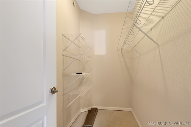 view of spacious closet