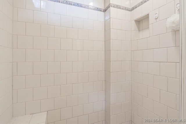 interior details featuring tiled shower