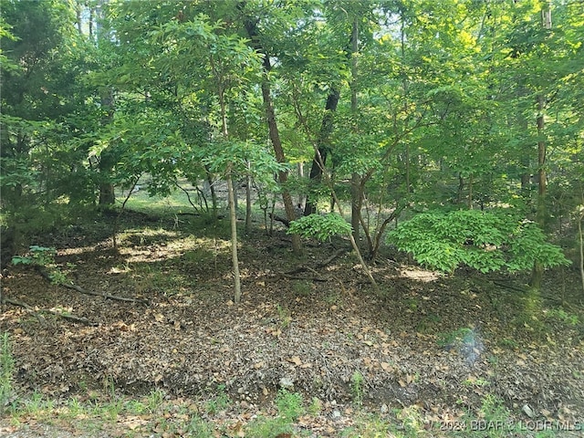 Listing photo 3 for LOT87 Cheyenne Dr, Four Seasons MO 65049