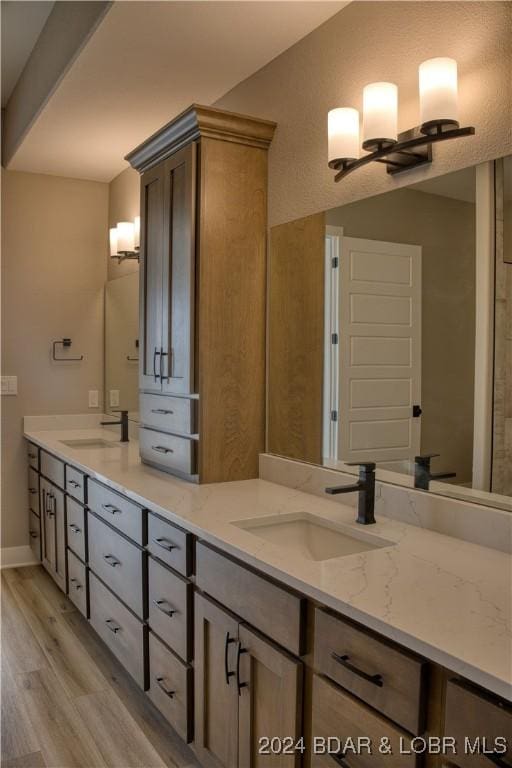 bathroom with vanity and hardwood / wood-style floors