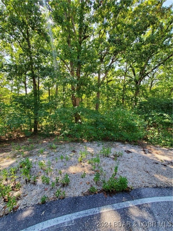 Listing photo 2 for LOT496 Akron Ct, Four Seasons MO 65049