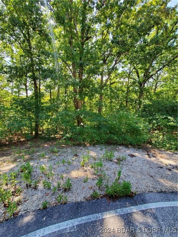 LOT496 Akron Ct, Four Seasons, MO 65049