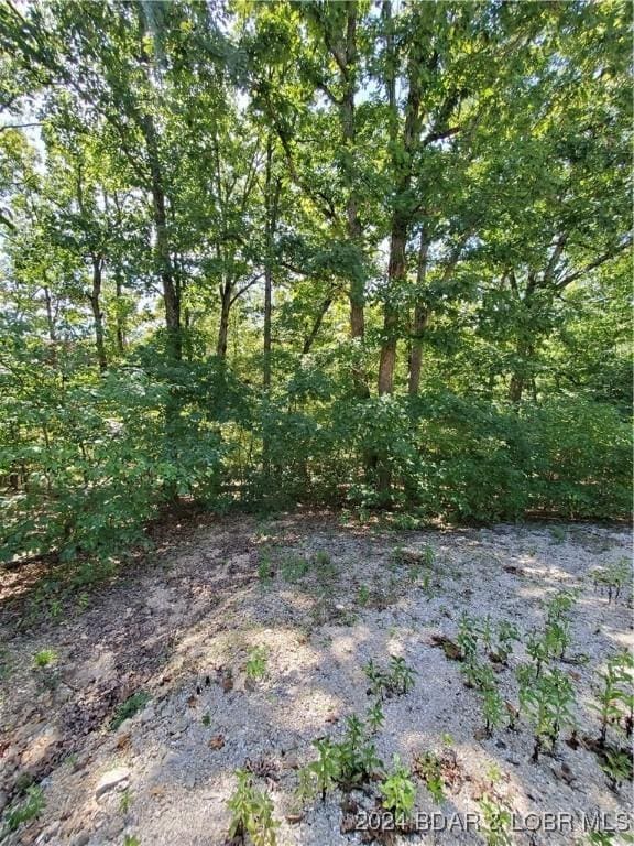 LOT496 Akron Ct, Four Seasons, MO 65049