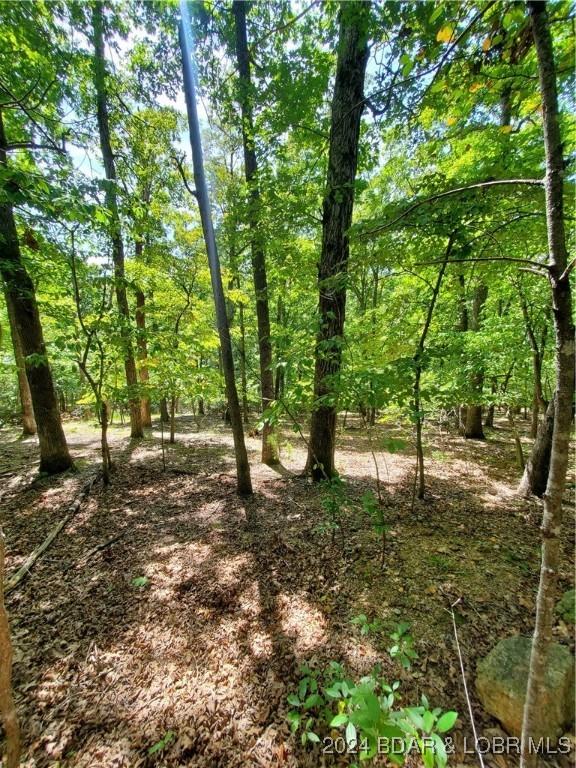 LOT496 Akron Ct, Four Seasons, MO 65049