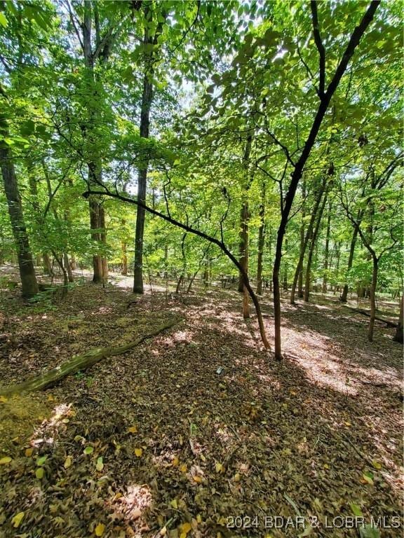 LOT496 Akron Ct, Four Seasons, MO 65049