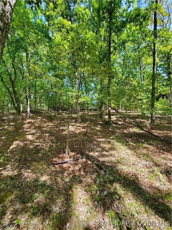 LOT496 Akron Ct, Four Seasons, MO 65049