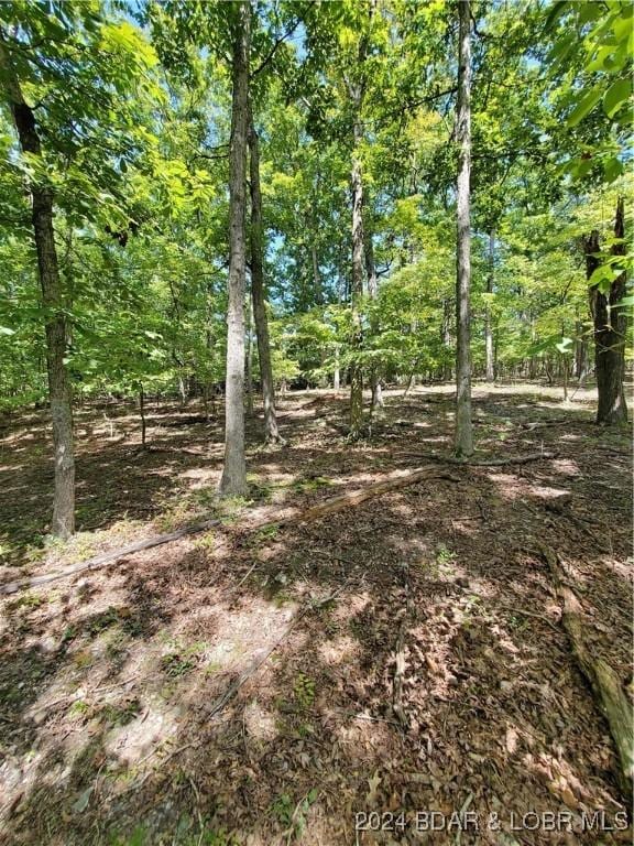LOT496 Akron Ct, Four Seasons, MO 65049