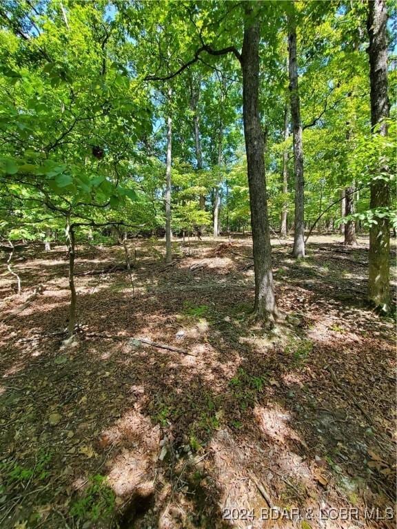 LOT496 Akron Ct, Four Seasons, MO 65049