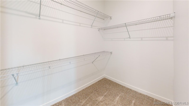 spacious closet with carpet flooring