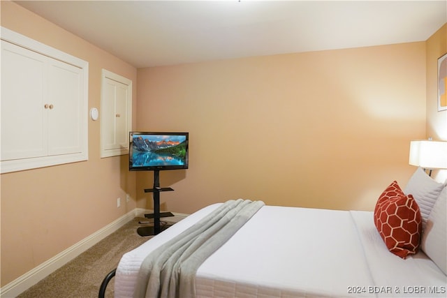 bedroom featuring carpet and a closet