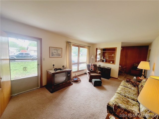 living room featuring plenty of natural light and carpet