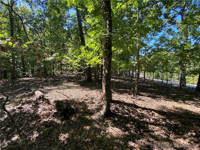 Listing photo 3 for LOT33 Chessman Dr, Lake Ozark MO 64059