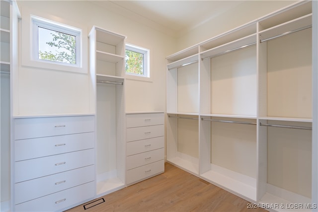 walk in closet featuring hardwood / wood-style floors