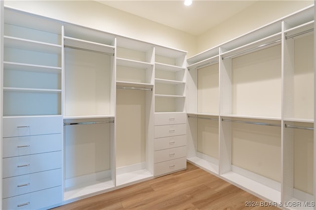 spacious closet with wood-type flooring