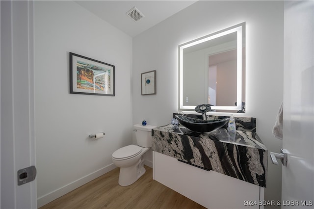 bathroom featuring vanity, toilet, and wood-type flooring