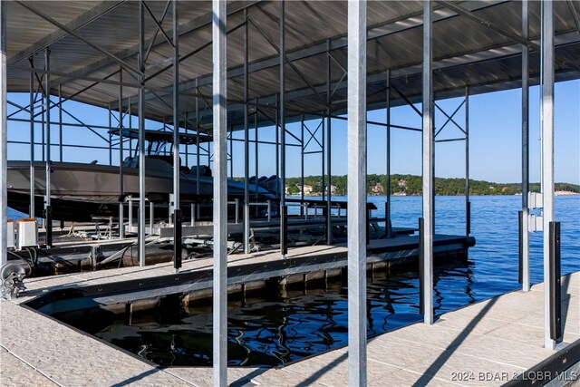 dock area with a water view