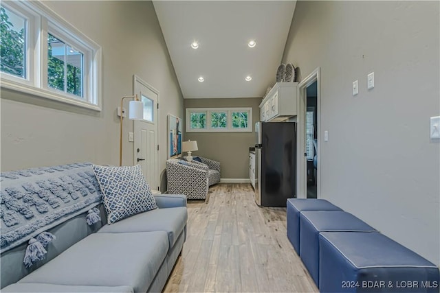 living room with high vaulted ceiling and light hardwood / wood-style floors