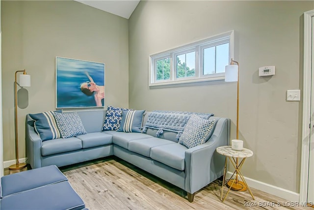 living room with hardwood / wood-style floors