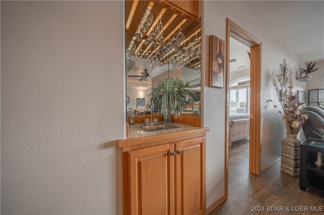 interior space featuring sink and dark hardwood / wood-style flooring