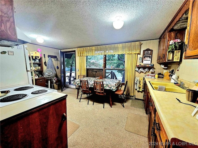 kitchen with a textured ceiling, light carpet, extractor fan, sink, and white refrigerator